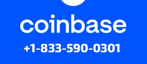 How To Quickly Get In Touch With Coinbase Support? [SupportGuide] | Crypto-Potential