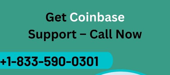 How To Update Phone Number On Coinbase Get In Touch   | Crypto-Potential