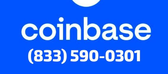 How Do I Contact Coinbase Support? Guide Step-By-Step
 | Crypto-Potential