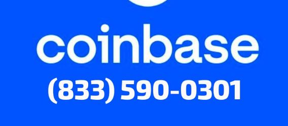 How Do I Contact Coinbase Wallet Support? Easy Solution | Crypto-Potential