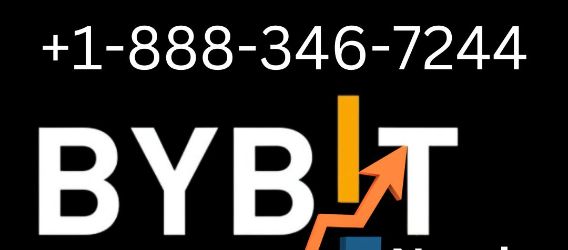 How To Change Phone Number In Bybit App? | Crypto-Potential